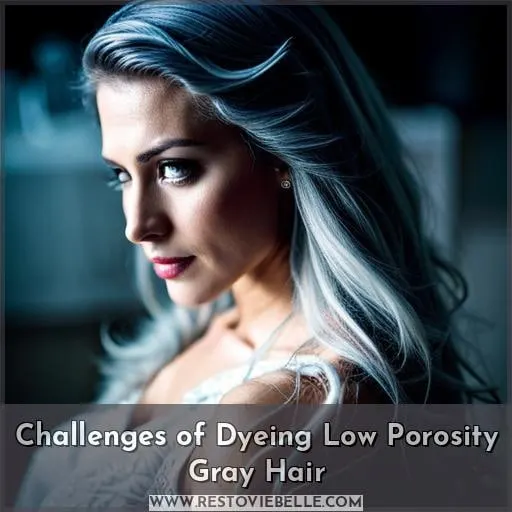 Challenges of Dyeing Low Porosity Gray Hair