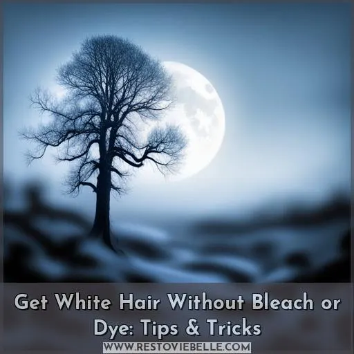 how to get white hair without bleach or dye