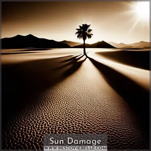 Sun Damage