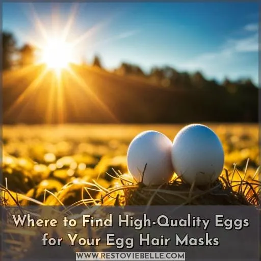 Where to Find High-Quality Eggs for Your Egg Hair Masks