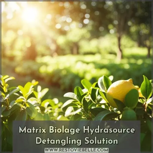 Matrix Biolage Hydrasource Detangling Solution