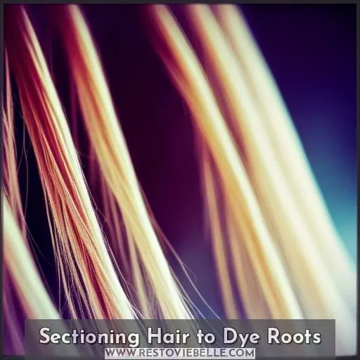 Sectioning Hair to Dye Roots