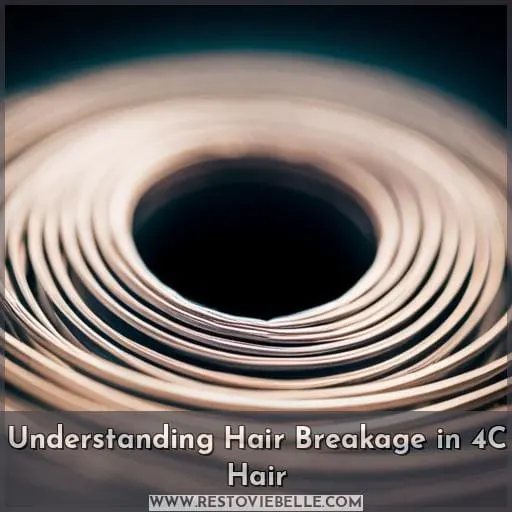Understanding Hair Breakage in 4C Hair