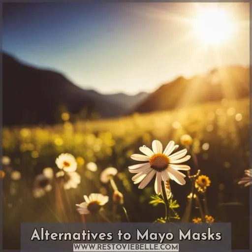 Alternatives to Mayo Masks