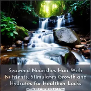 benefits of seaweed for hair