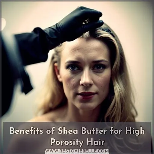 Benefits of Shea Butter for High Porosity Hair