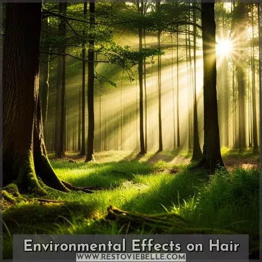 Environmental Effects on Hair