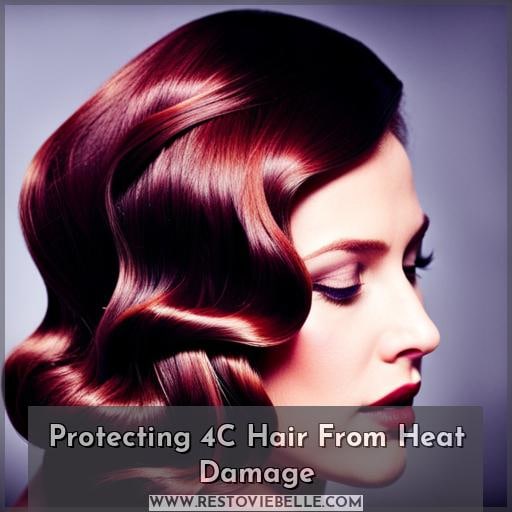 Protecting 4C Hair From Heat Damage