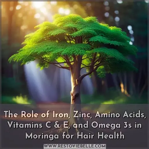 The Role of Iron, Zinc, Amino Acids, Vitamins C & E, and Omega 3s in Moringa for Hair Health