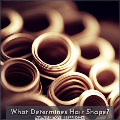 What Determines Hair Shape