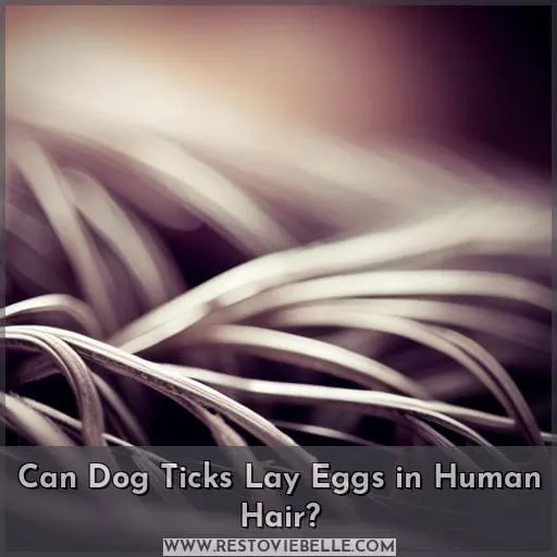 Can Dog Ticks Lay Eggs in Human Hair