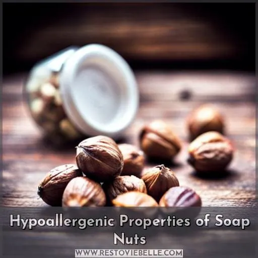 Hypoallergenic Properties of Soap Nuts