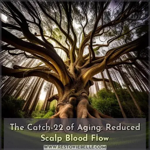 The Catch-22 of Aging: Reduced Scalp Blood Flow