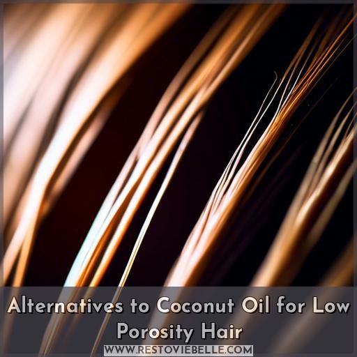 Alternatives to Coconut Oil for Low Porosity Hair
