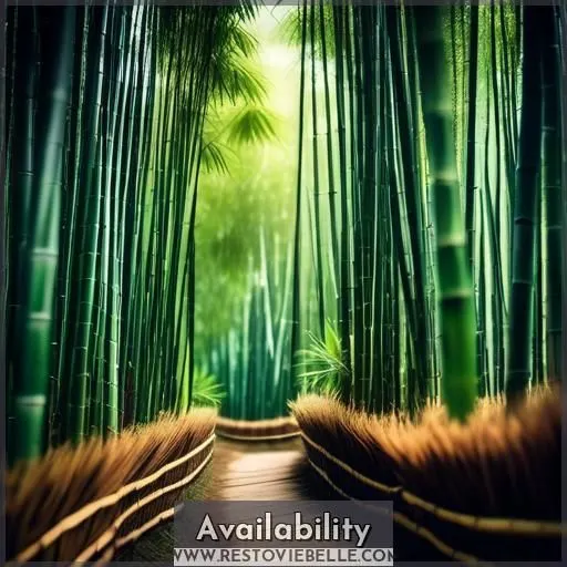 Availability