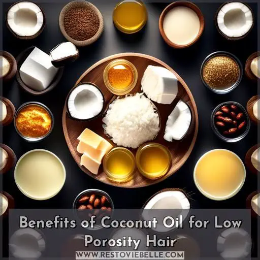 Benefits of Coconut Oil for Low Porosity Hair
