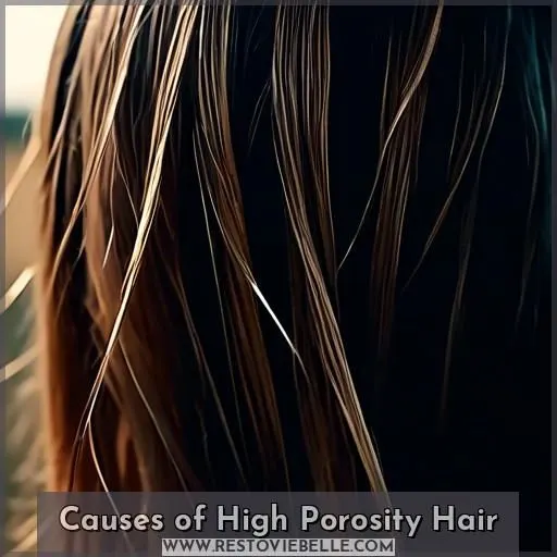 Causes of High Porosity Hair