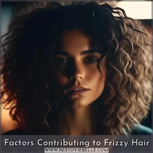 Factors Contributing to Frizzy Hair