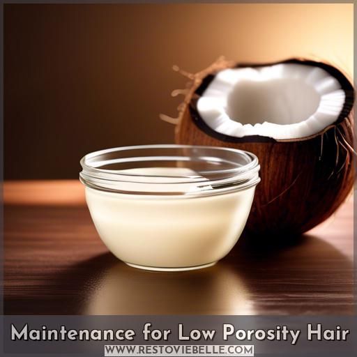 Maintenance for Low Porosity Hair