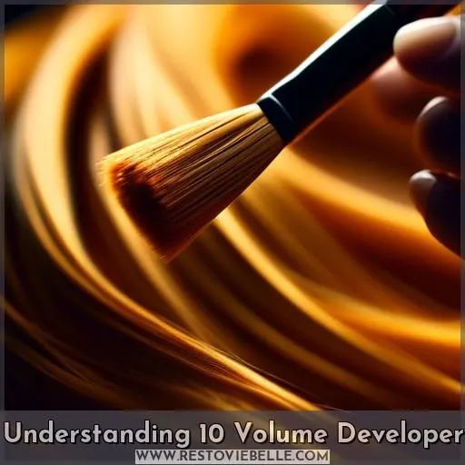 Understanding 10 Volume Developer