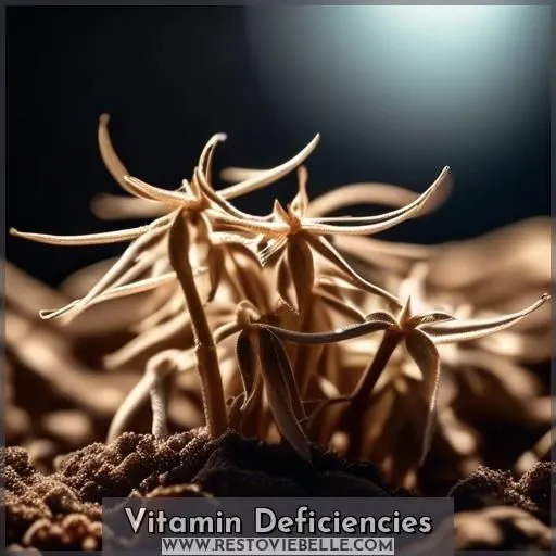 Vitamin Deficiencies