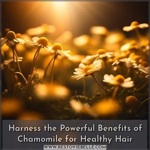 benefits chamomile hair