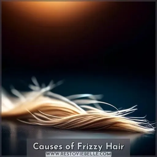 Causes of Frizzy Hair