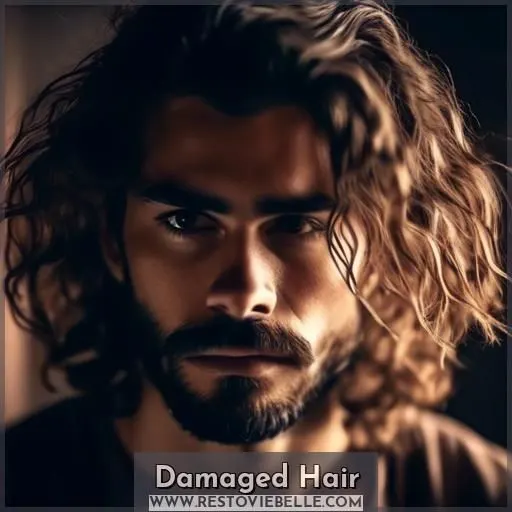 Damaged Hair