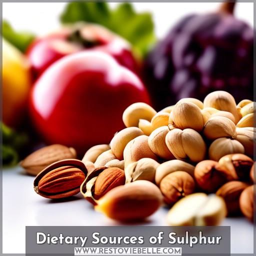 Dietary Sources of Sulphur