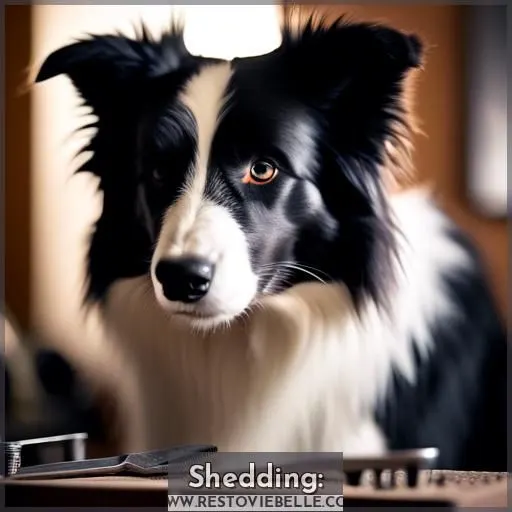 Shedding: