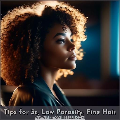 Tips for 3c, Low Porosity, Fine Hair