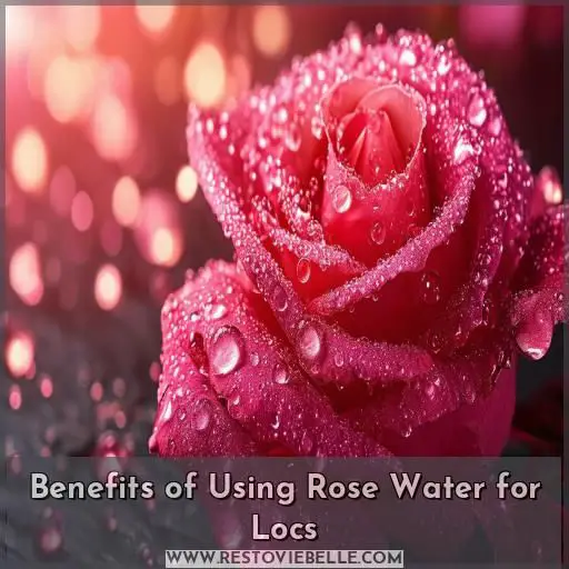 Benefits of Using Rose Water for Locs