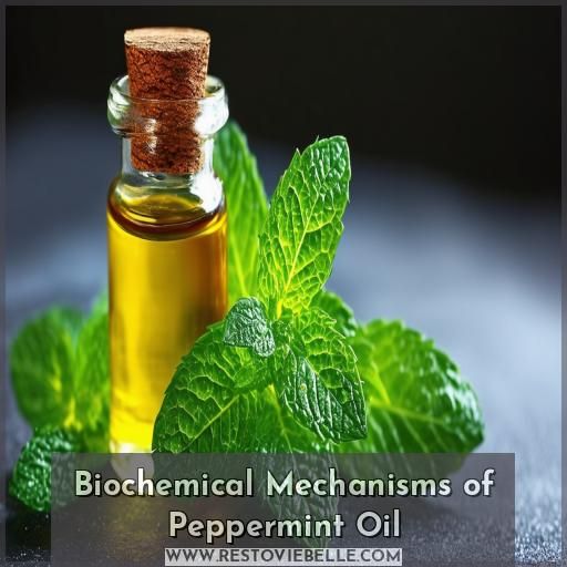 Biochemical Mechanisms of Peppermint Oil