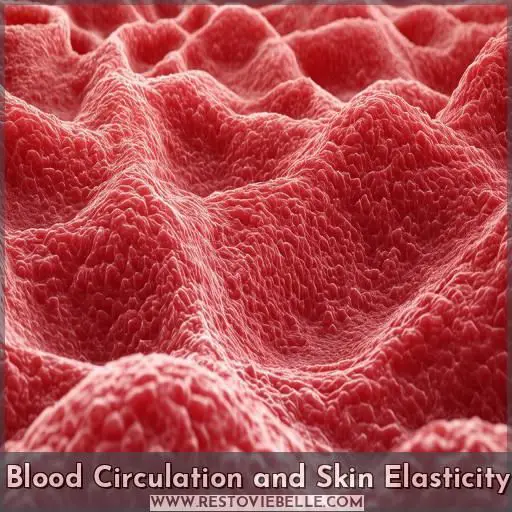 Blood Circulation and Skin Elasticity