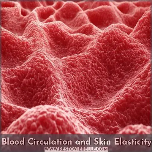 Blood Circulation and Skin Elasticity