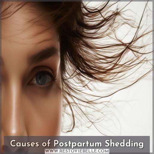 Causes of Postpartum Shedding