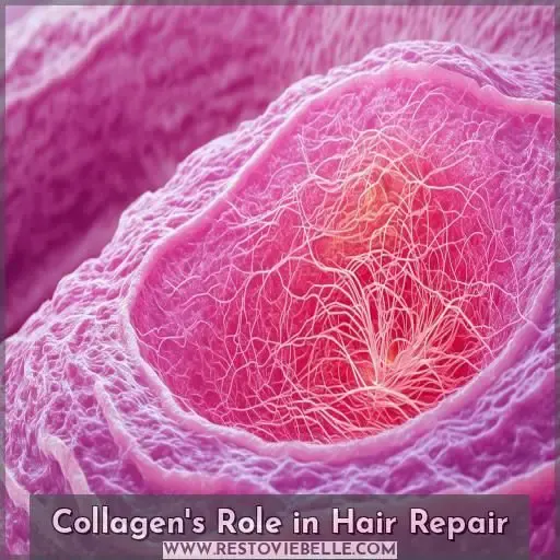 Collagen