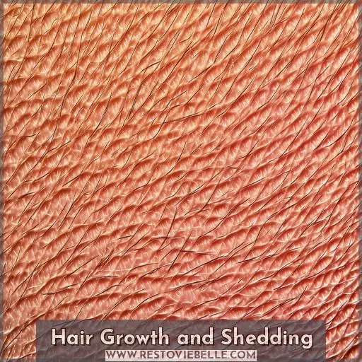 Hair Growth and Shedding