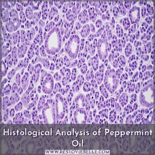 Histological Analysis of Peppermint Oil