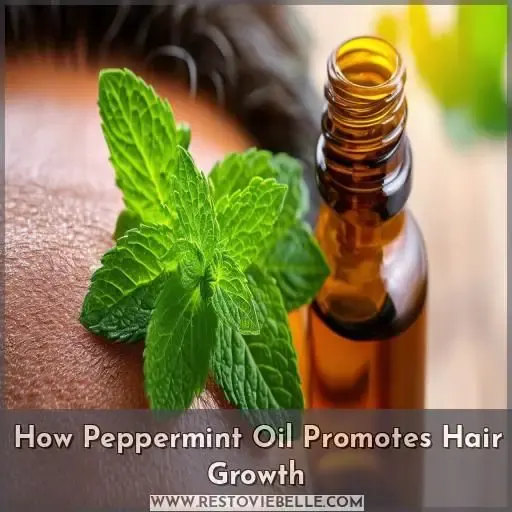 How Peppermint Oil Promotes Hair Growth