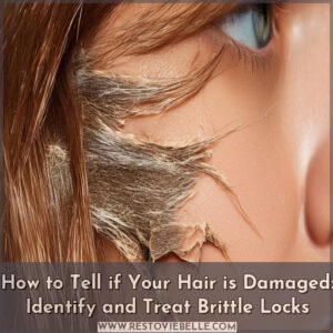 how to tell if your hair is damaged