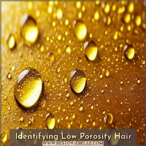 Identifying Low Porosity Hair