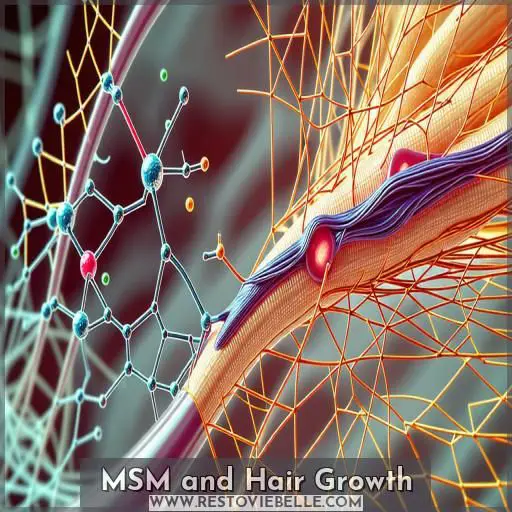 MSM and Hair Growth