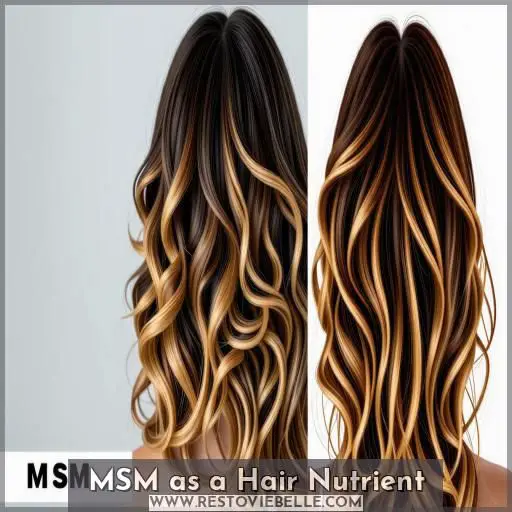 MSM as a Hair Nutrient