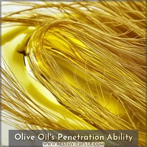 Olive Oil