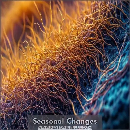 Seasonal Changes