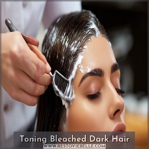 Toning Bleached Dark Hair