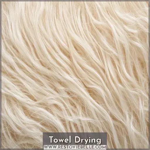 Towel Drying