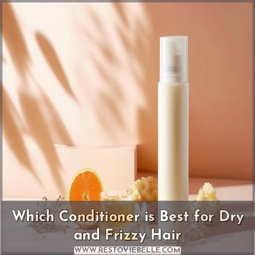 Which Conditioner is Best for Dry and Frizzy Hair