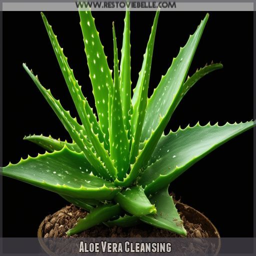 Aloe Vera Cleansing